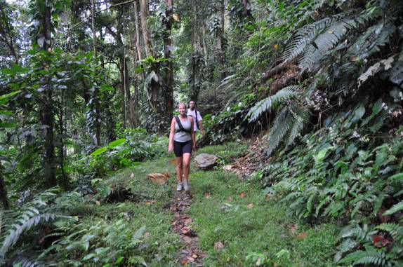 Descendo o El Tucuche, a segunda mais alta montanha da ilha de Trinidad
